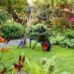 wheelbarrow with yard waste, shovel and rake
