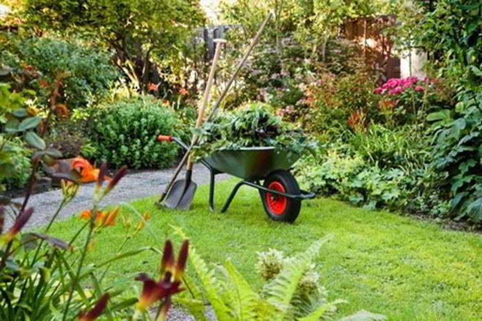 wheelbarrow with yard waste, shovel and rake